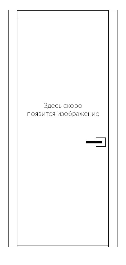 Аскет Металлик исп.2 ДГ