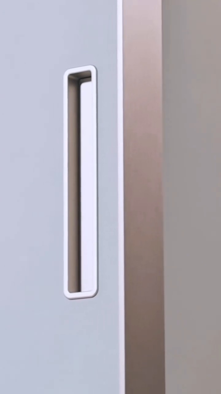 Раздвижные двери. Купе. Дверь-купе одностворчатая FW 2