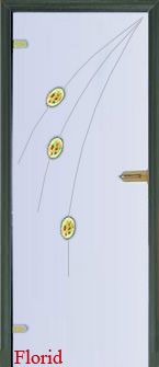 Стеклянная дверь Florid модель 6