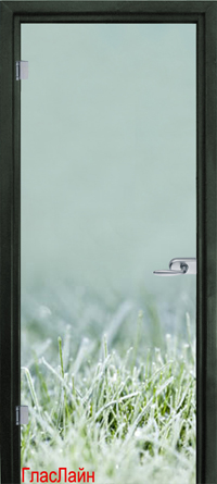 Стеклянная дверь New Glass GJ-80