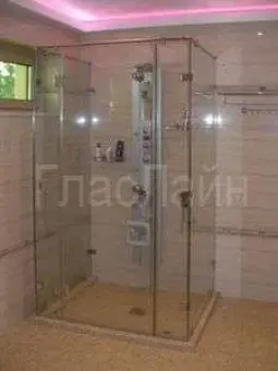 Душевая дверь СДД-10 прозрачная