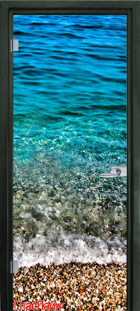 Стеклянная дверь New Glass GJ-50