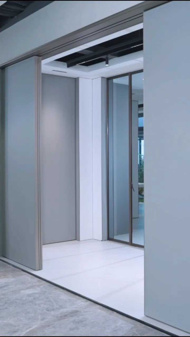 Дверь-купе двухстворчатая FW